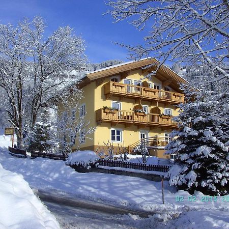 Appartements - Haus Sieberer Бриксен-им-Тале Екстериор снимка