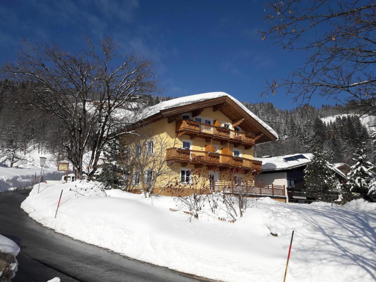 Appartements - Haus Sieberer Бриксен-им-Тале Екстериор снимка